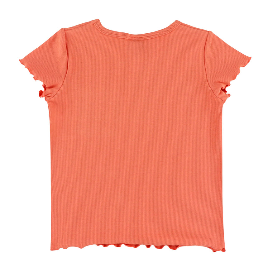T-shirt Pique-nique Corail 2-8ans-Chat Botte-CHI-1262466C-CLÉMENT