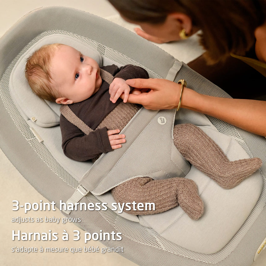 Siège Bercant Dove Pro - Beige-Maxi-cosi-COS-25221CEBE-CLÉMENT