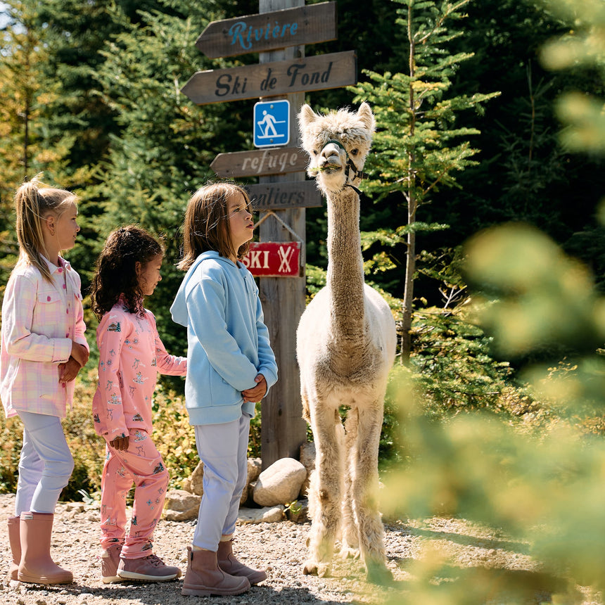 Kangourou Zip Ours Patin 2-10ans-Birdz-BR1-CLSPKG860-CLÉMENT