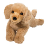 Chien Golden Retriever - Oakley-Douglas-DCT-2420-CLÉMENT