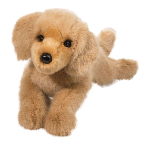 Chien Golden Retriever - Oakley-Douglas-DCT-2420-CLÉMENT