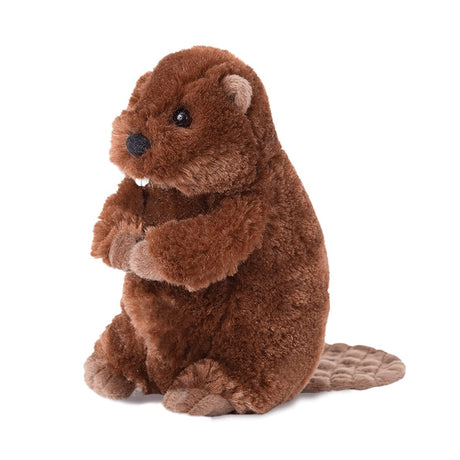 Castor Buddy-Douglas-DCT-4037-CLÉMENT