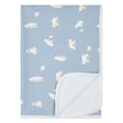 Couverture Polaire-Firsts par Petit Lem-Bleu-Bébé-FIT-26FGL38A09-CLÉMENT