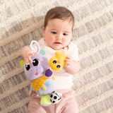 FYE-L27667_B.JPG