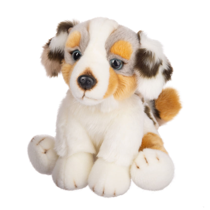 Chien Berger Australien-Ganz-GAZ-H14504-CLÉMENT