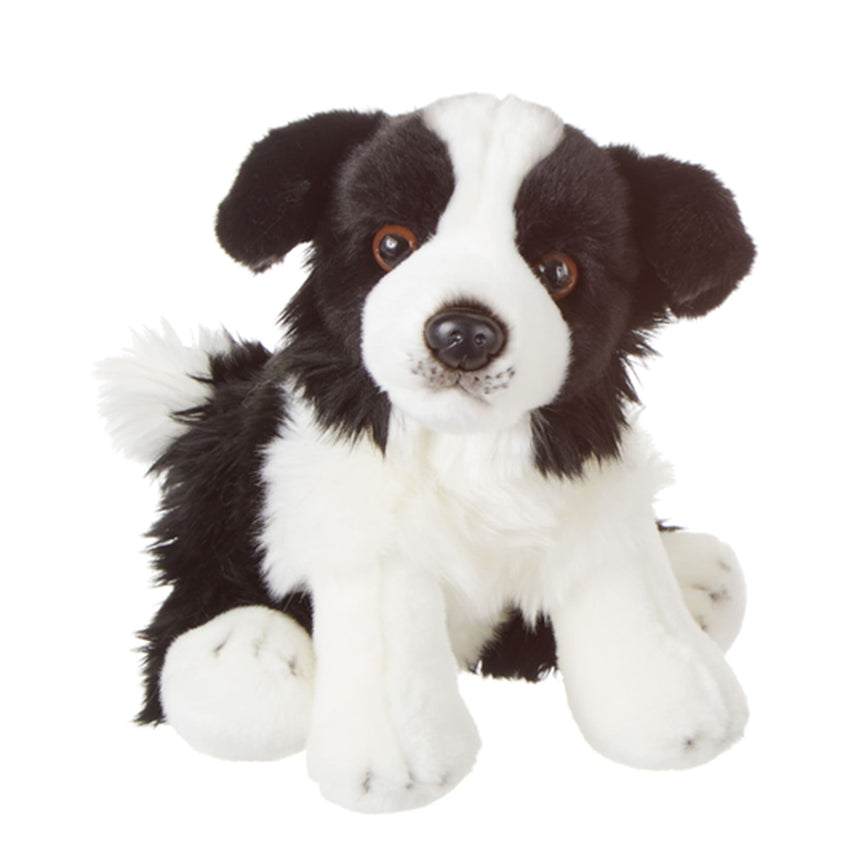 Chien Border Collie-Ganz-GAZ-H14713-CLÉMENT