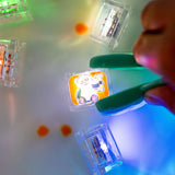 Cubes Lumineux Bain (6) - Zoo-Glo Pals-GLP-GP850-CLÉMENT