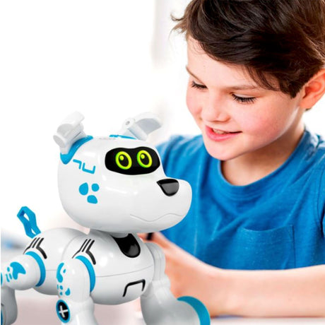 Robot Chien Bobby-Groupe Ricochet-GRI-ROBB1374-CLÉMENT
