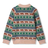 Pull Tricot Ours Fairilse 3-8ans-Hatley-HAT-F26BCK1707-CLÉMENT