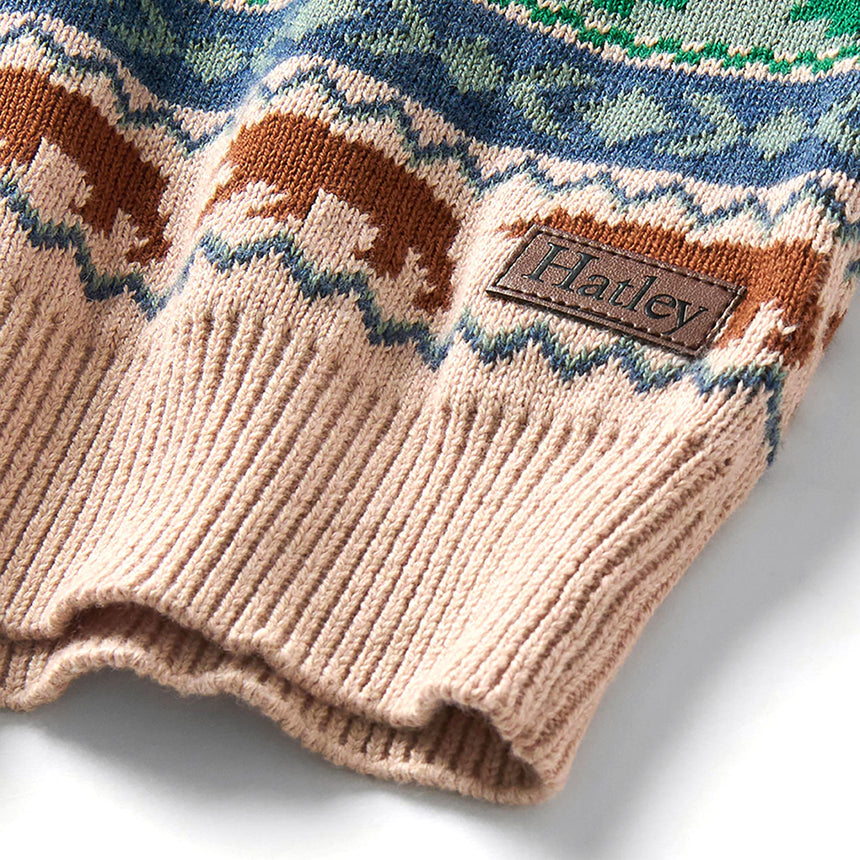 Pull Tricot Ours Fairilse 3-8ans-Hatley-HAT-F26BCK1707-CLÉMENT