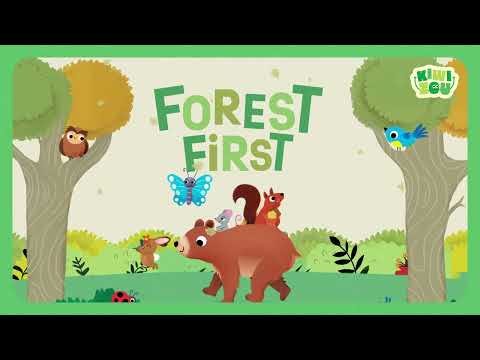 Forest First-Kiwizou-KIW-KIWFOREST002-CLÉMENT