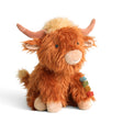 Wyatt La Vache Des Highlands-itzy ritzy-ITZ-306701942-CLÉMENT
