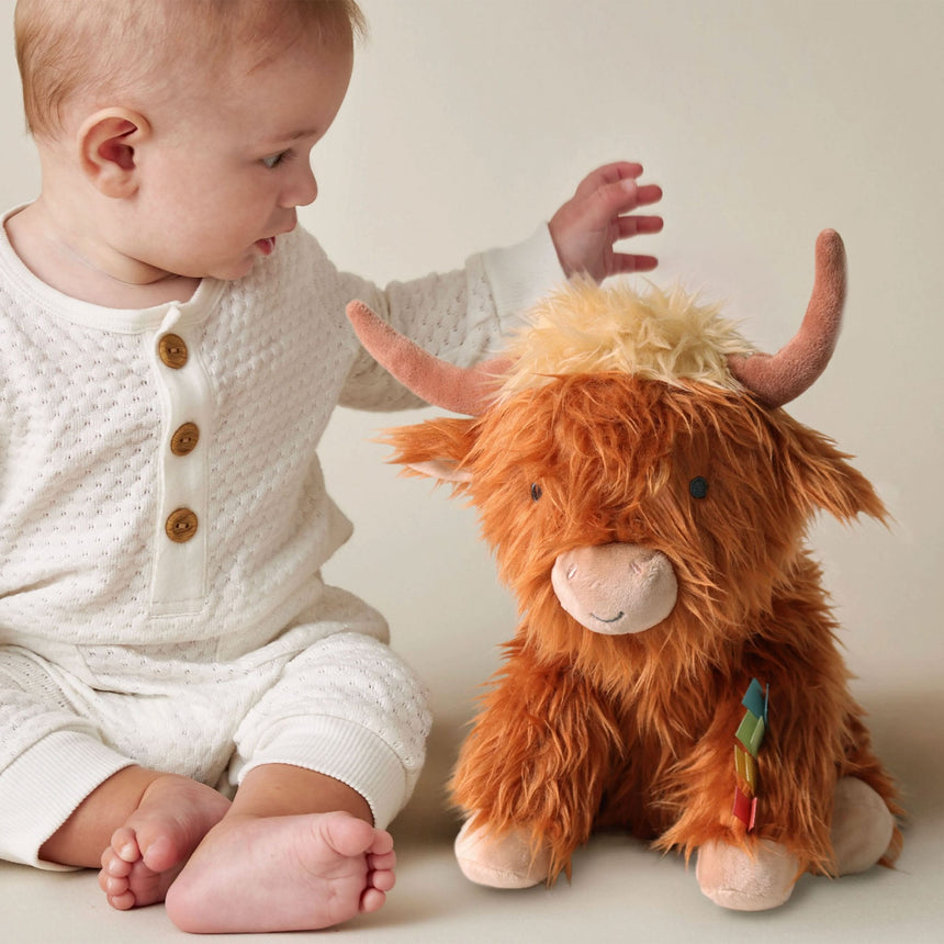 Wyatt La Vache Des Highlands-itzy ritzy-ITZ-306701942-CLÉMENT