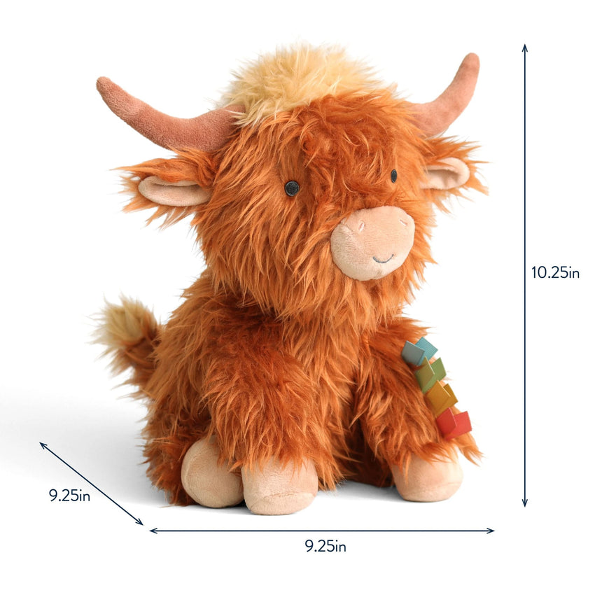 Wyatt La Vache Des Highlands-itzy ritzy-ITZ-306701942-CLÉMENT