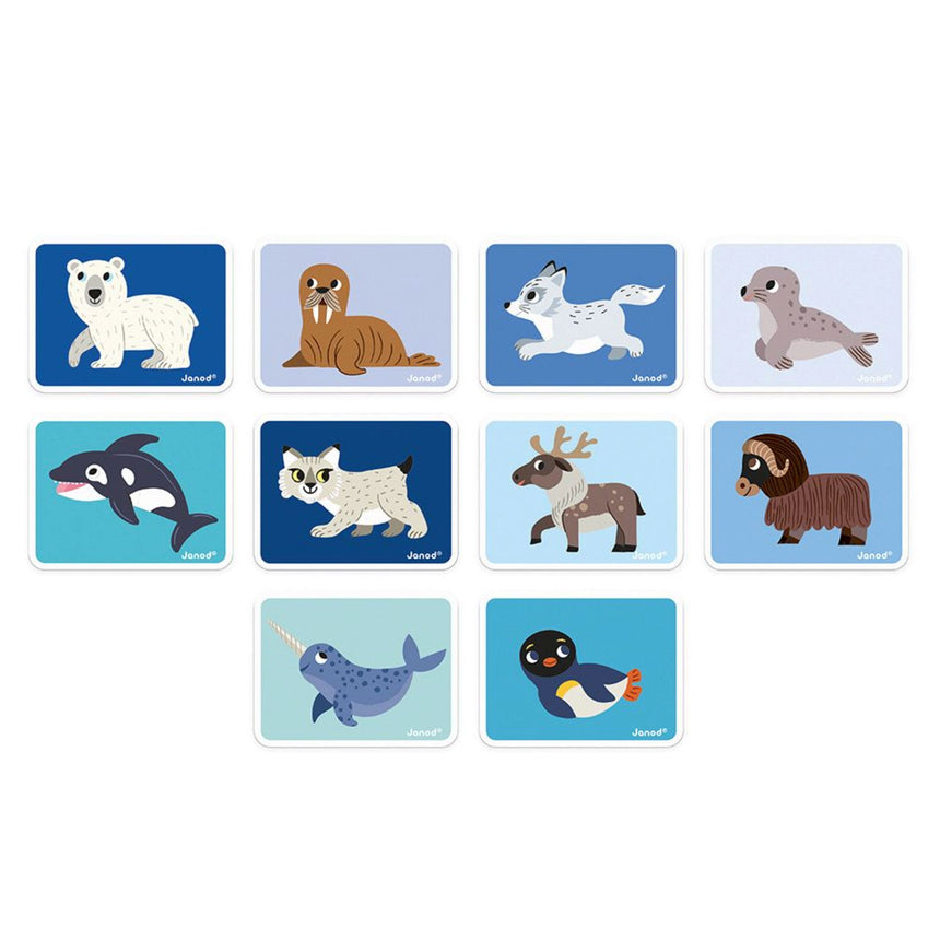 Livre Magnétique Animaux Polaires-Janod-JAD-J02599-CLÉMENT