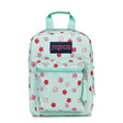 Boîte à Lunch Big Break Pomme-Jansport-JAP-JS0A352LA3D-CLÉMENT