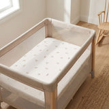 Drap Contour pour Parc - Arbres-Origami Maison-JAS-PARCTREES-CLÉMENT