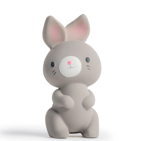 Jouet de Dentition Lapin Sylvi-Ingenuity-KIC-KII13076-CLÉMENT