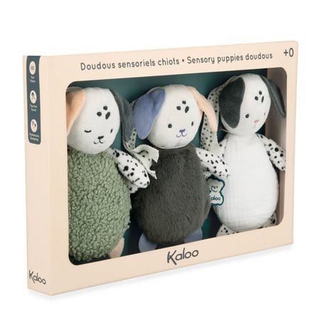 Doudous Sensoriel Chien(3)-Kaloo-KLO-K227007-CLÉMENT