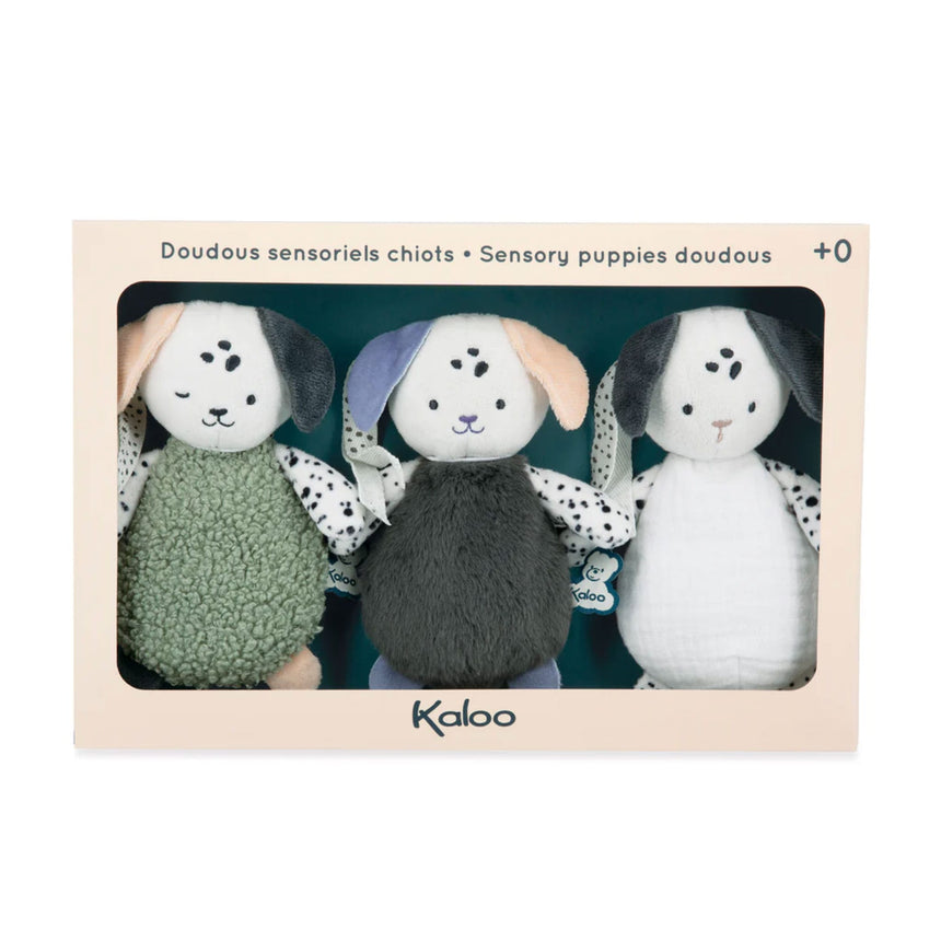 Doudous Sensoriel Chien(3)-Kaloo-KLO-K227007-CLÉMENT