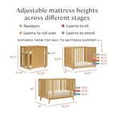 Couchette Convertible Palma 8-en-1 - Miel-Babyletto-LET-M15980HY-CLÉMENT