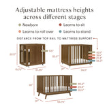 Couchette Convertible Palma 8-en-1 - Noyer Naturel-Babyletto-LET-M15980NL-CLÉMENT