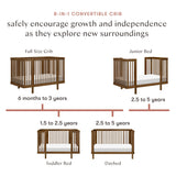 Couchette Convertible 8-en-1 Pogo avec kits de conversion - Noyer naturel-Babyletto-LET-M29880NL-CLÉMENT