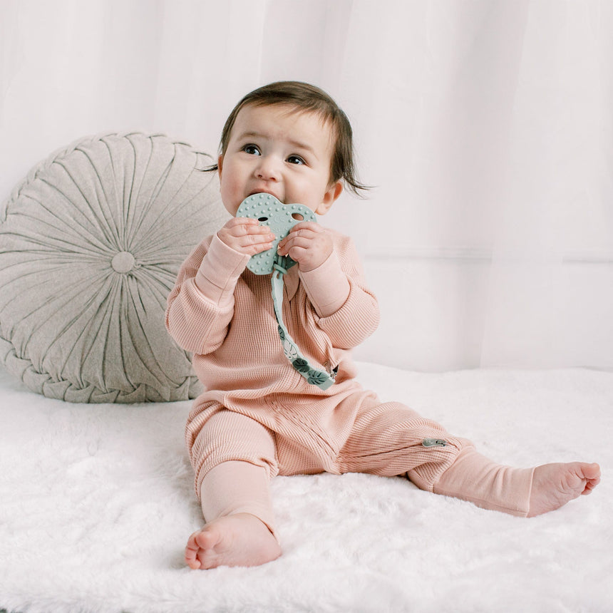 Attache-Suce en Silicone - Monstera-Loulou Lollipop-LLP-SILCPMON-CLÉMENT
