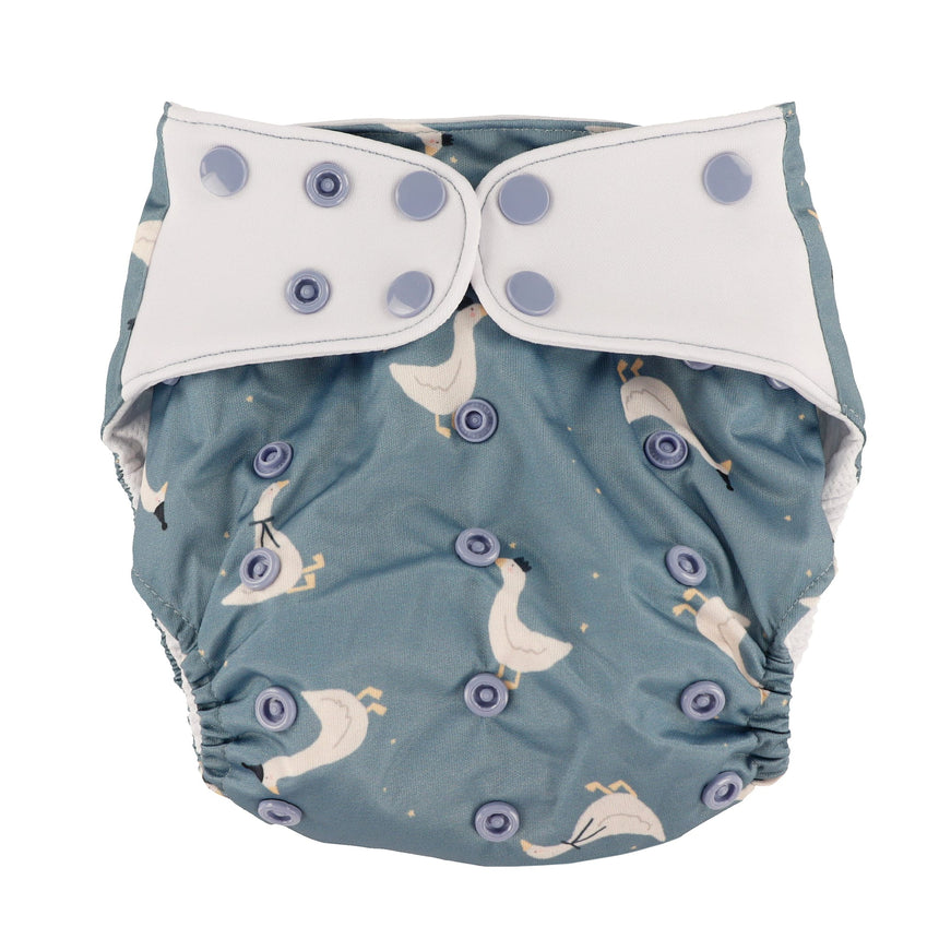 Couche Lavable Évolution - Prince 10-35lb-La Petite Ourse-LP3-C-NS-PRINCE-CLÉMENT