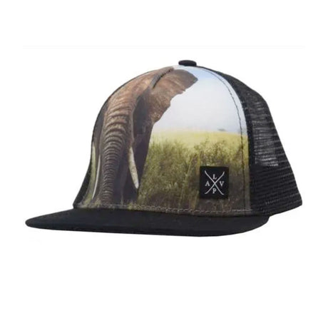 Casquette Elephant 0-6m-LP Apparel-Noir-0-6 m-LPG-CAPELEPHANT-CLÉMENT