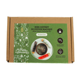 Mini Coffret Potion de Protection-Les Petits Sorciers-LPS-628942847158-CLÉMENT