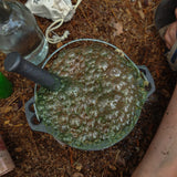 Coffre Potion Rêves Enchantés-Les Petits Sorciers-LPS-628942847202-CLÉMENT