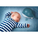 Baleine Musicale - Madeleine-Little Big Friends-LTB-302382-CLÉMENT