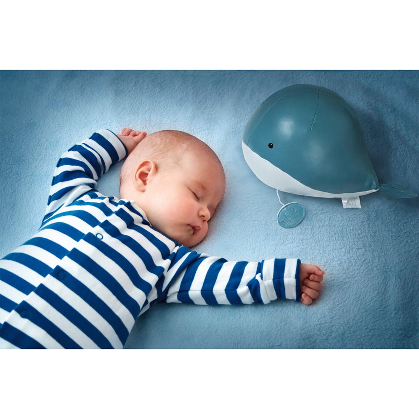 Baleine Musicale - Madeleine-Little Big Friends-LTB-302382-CLÉMENT