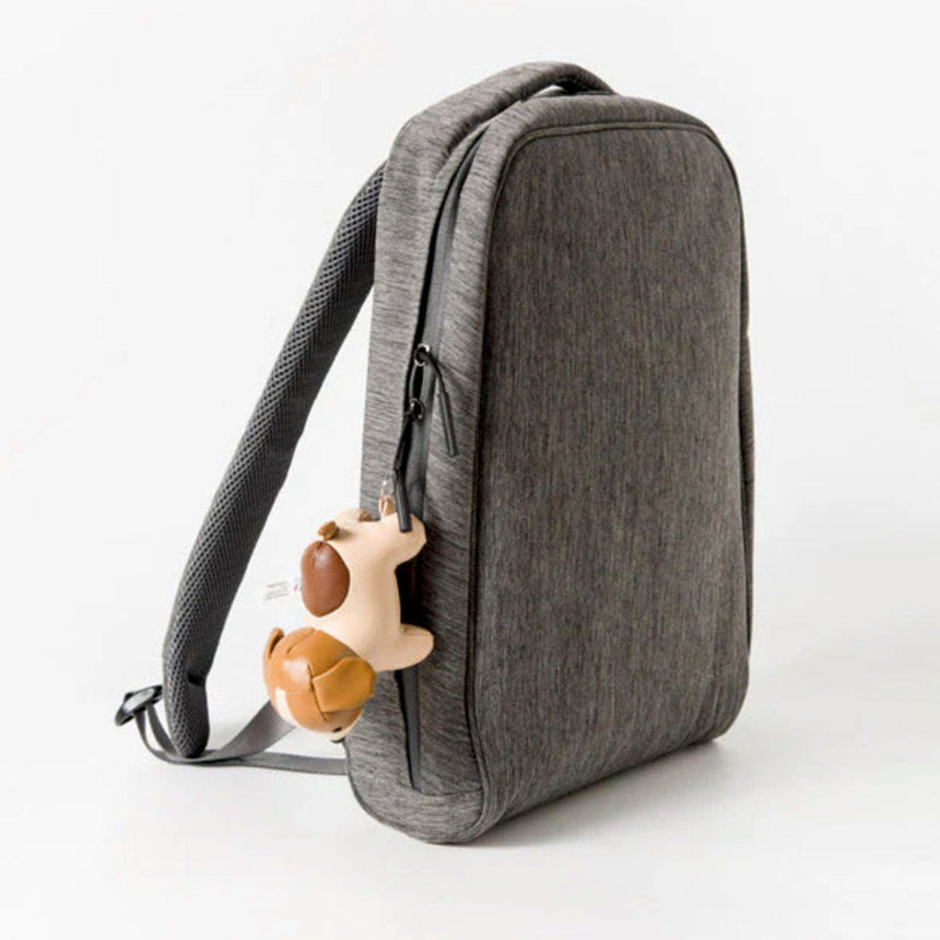 Petit Animaux - Lion-Little Big Friends-LTB-303129-NW-CLÉMENT