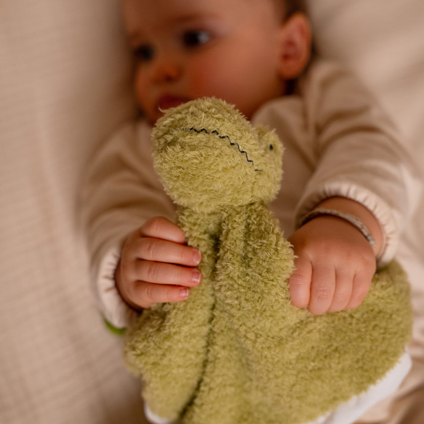 Doudou Rex Le Tyrannosaure-Little Big Friends-LTB-305055-CLÉMENT