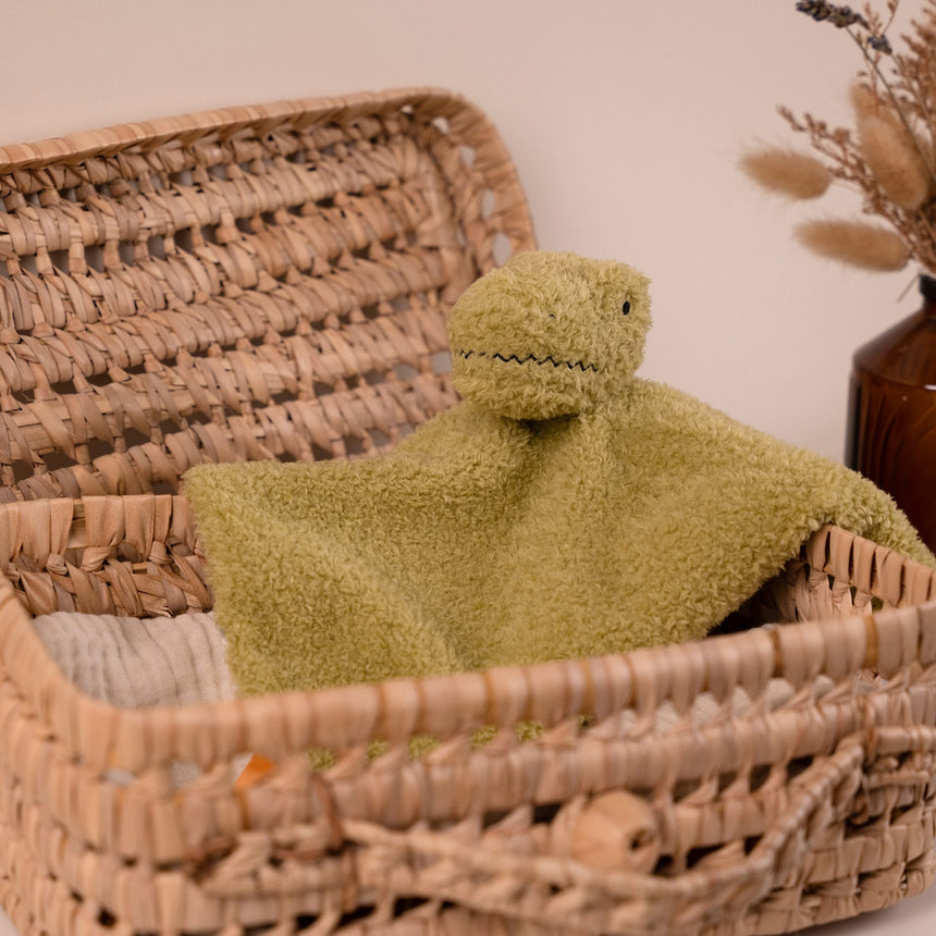 Doudou Rex Le Tyrannosaure-Little Big Friends-LTB-305055-CLÉMENT