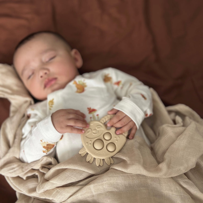 Mon Premier Pyjama Hérisson Prématuré -18mois-Mon Premier-MCC-PZM6058-100-CLÉMENT