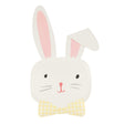 Assiettes de Carton (8) - Lapins-Meri Meri-MME-273443-CLÉMENT