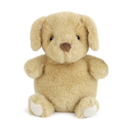 Chiot Jake-Mon Ami-MMI-ST1200-CLÉMENT