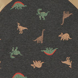T-shirt Raglan Dino 2-8ans-Camp by Birdz-NAS-CLSPKB393-CD-CLÉMENT