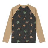 T-shirt Raglan Dino 2-8ans-Camp by Birdz-NAS-CLSPKB393-CD-CLÉMENT