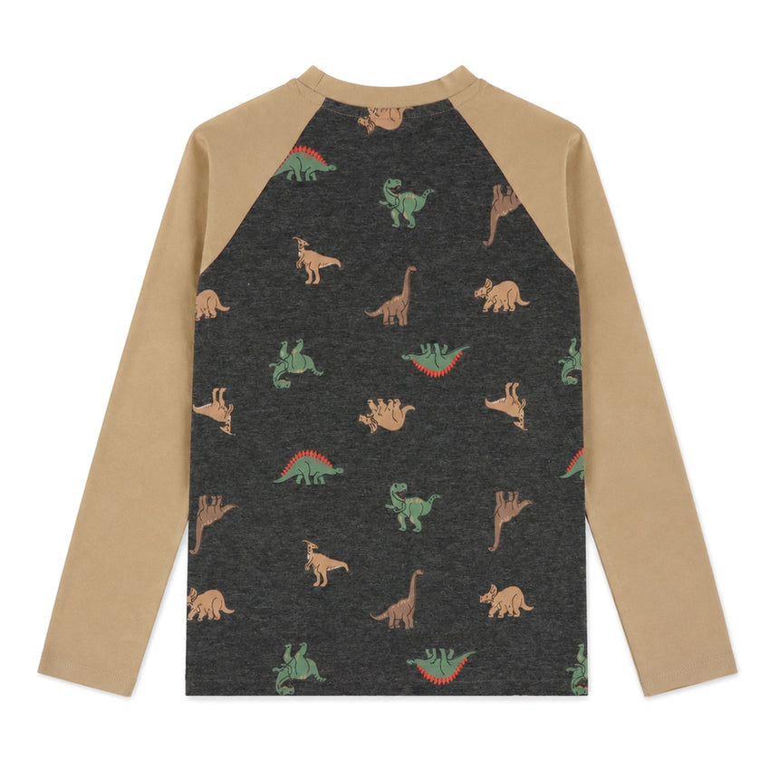T-shirt Raglan Dino 2-8ans-Camp by Birdz-NAS-CLSPKB393-CD-CLÉMENT