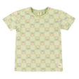 T-shirt Carreaux Floral 2-8ans-Camp by Birdz-Sauge-2-NAS-CLSPKG677-GF-CLÉMENT