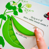 Mon Imagier des Légumes-Nathan-NHN-782095025809-CLÉMENT