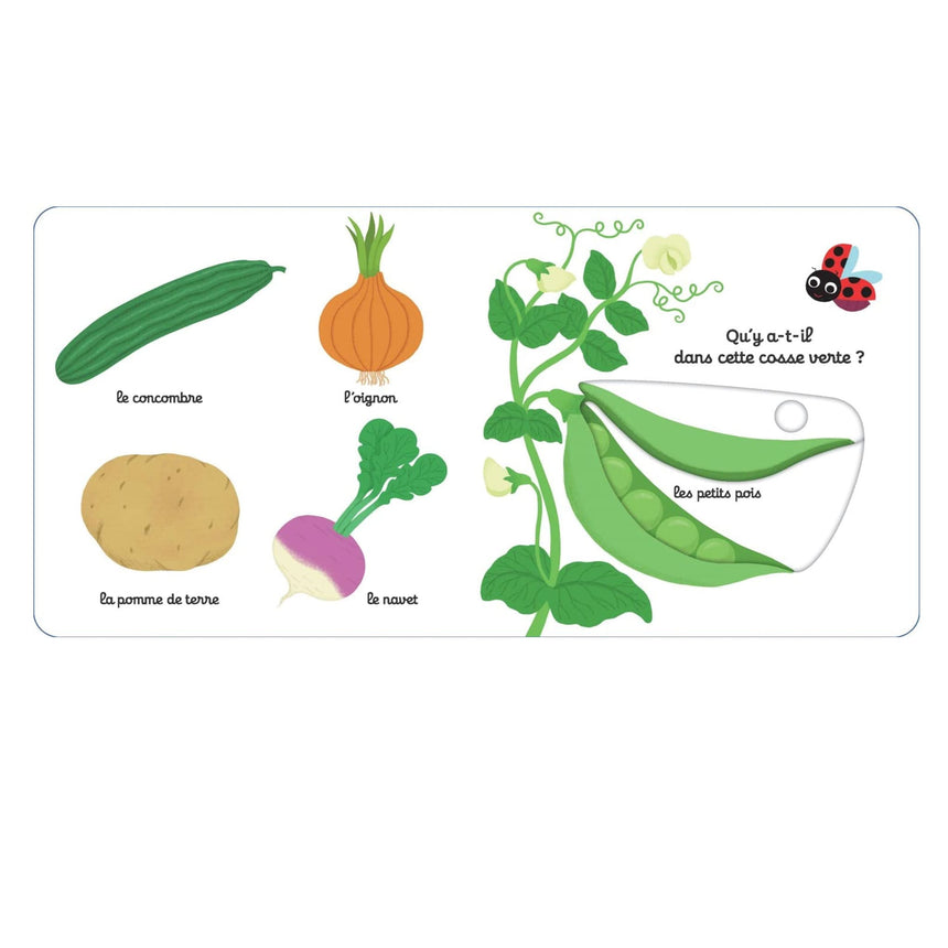 Mon Imagier des Légumes-Nathan-NHN-782095025809-CLÉMENT
