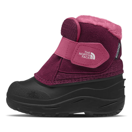 Botte Alpenglow II Pointures 4-9-The North Face-NOH-NF0A3FYO-KK9-CLÉMENT