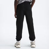 Pantalon Emb Evolution 7-16ans-The North Face-NOH-NF0A8CVD-JK3-CLÉMENT