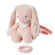 Peluche Musicale Pomme le Lapin 23 cm-Nattou-NTT-544485050-CLÉMENT