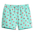 Maillot Short Melons 8-16ans-Public Beach-Menthe-8-PBE-PB8651JR-MEN-CLÉMENT